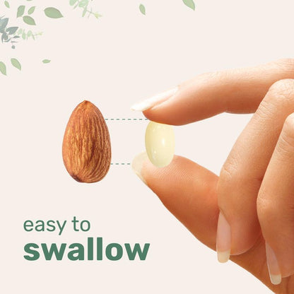 NAC 600mg with NAD+ (+ MCT Oil)