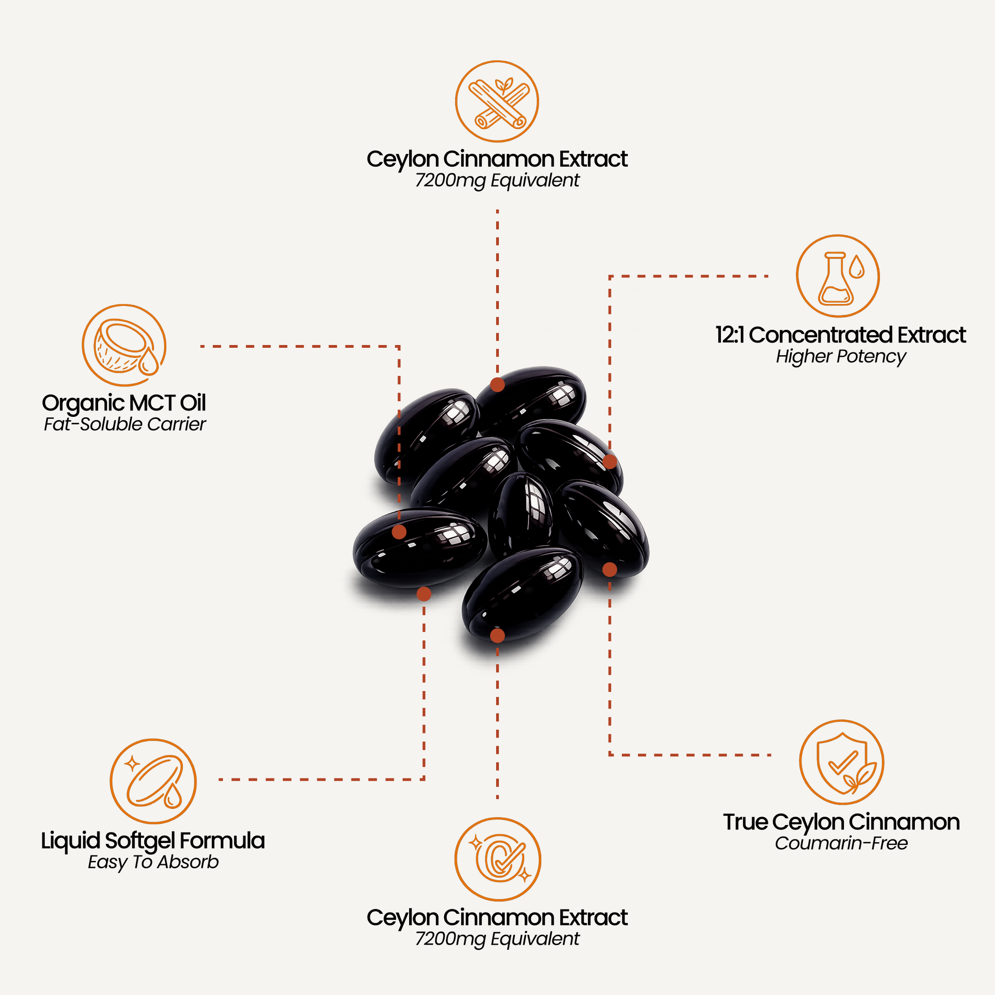 Ceylon Cinnamon 7200mg Equivalent with MCT Oil